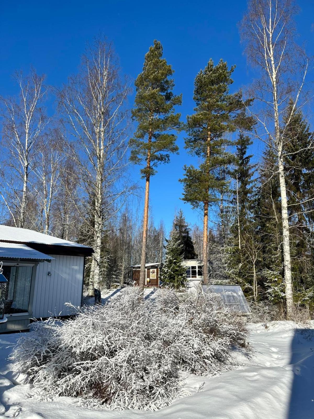 Cottage Viardo Vehkataipale Rum bild
